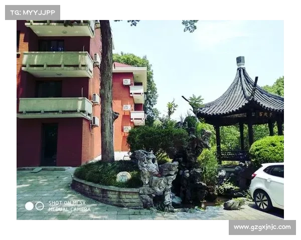 张德培带领团队再创辉煌 解析背后艰辛努力与夺冠荣耀